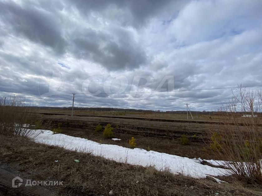 земля р-н Тюменский с Кулига ул Молодежная фото 2