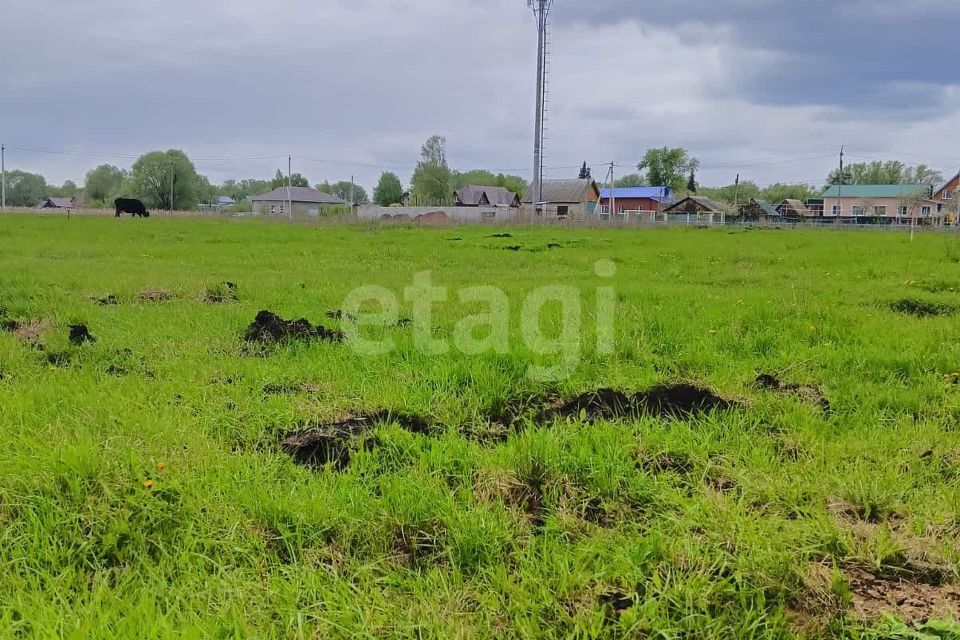 земля р-н Уфимский село Нижегородка фото 4