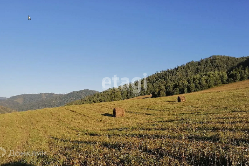 земля р-н Чемальский село Аюла фото 1