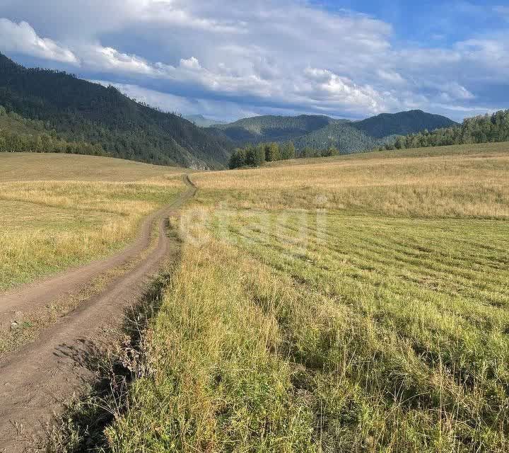 земля р-н Чемальский село Аюла фото 3