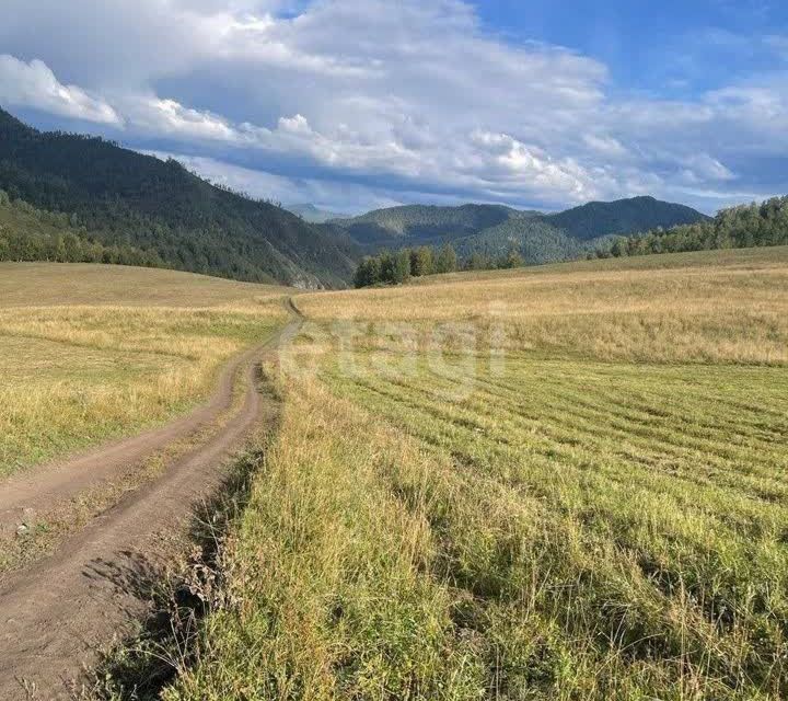 земля р-н Чемальский село Аюла фото 2