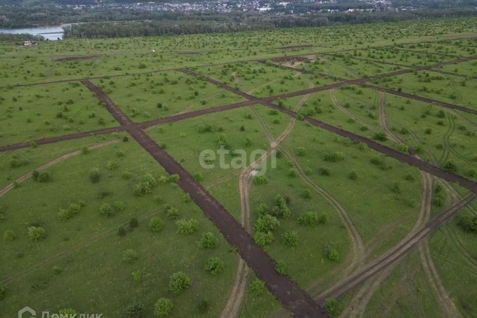 земля р-н Майминский село Подгорное фото 1