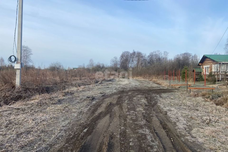 земля р-н Новосибирский Берёзовский сельсовет фото 1