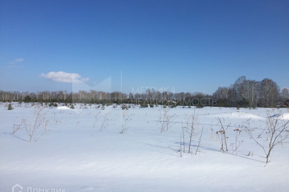 земля р-н Тюменский д Падерина улица Г. Л. Мерабишвили фото 2