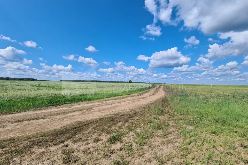 земля р-н Тюменский коттеджный посёлок Новокаменский фото 3