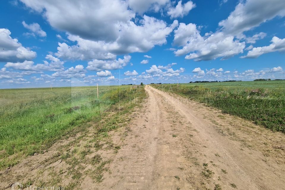 земля р-н Тюменский коттеджный посёлок Новокаменский фото 4