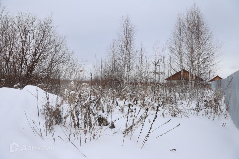 земля р-н Нижнетавдинский ДНТ Сочинское фото 4