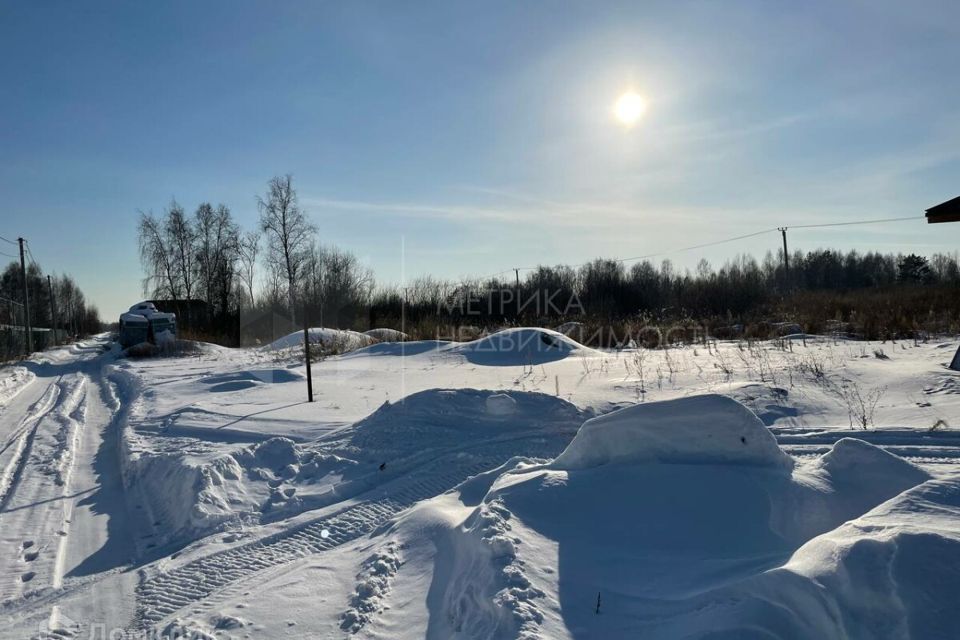 земля г Тюмень снт Поле чудес ул Виноградная 217 городской округ Тюмень фото 2