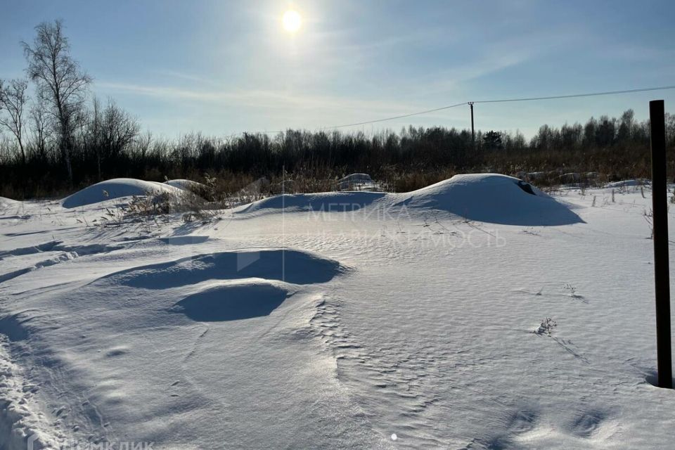 земля г Тюмень снт Поле чудес ул Виноградная 217 городской округ Тюмень фото 3