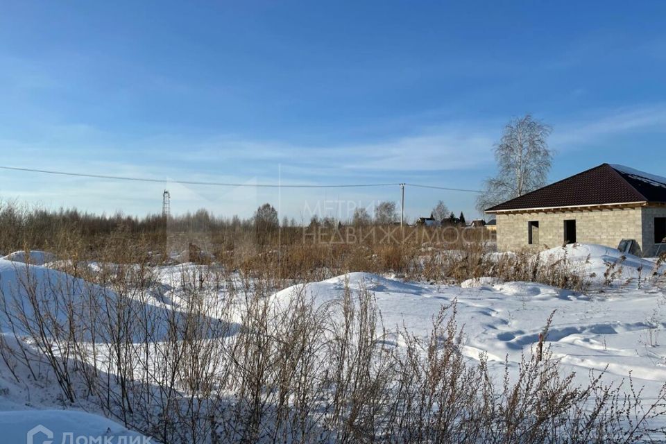 земля г Тюмень снт Поле чудес ул Виноградная 217 городской округ Тюмень фото 4