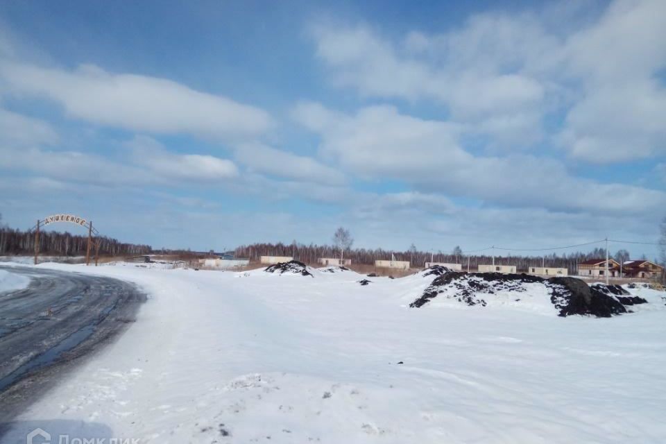 земля р-н Нижнетавдинский садовое товарищество Душевное фото 1