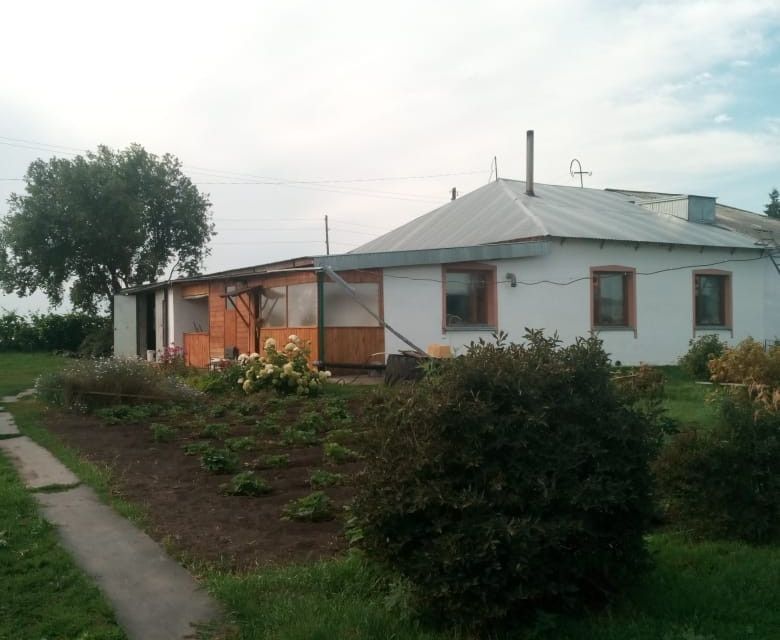 дом р-н Шелаболихинский село Кучук фото 1