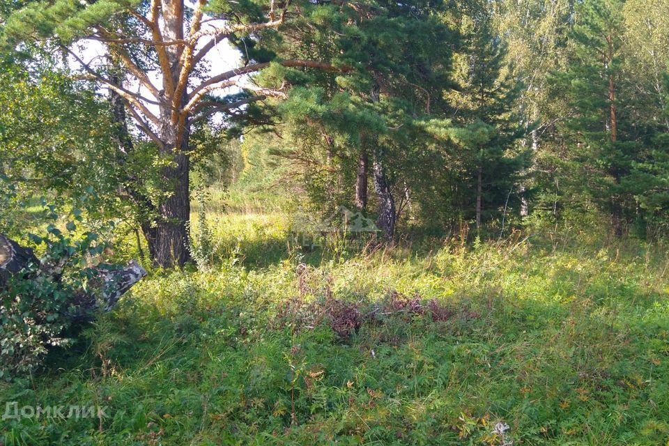 земля р-н Емельяновский дачное некоммерческое товарищество Солнечный День фото 1