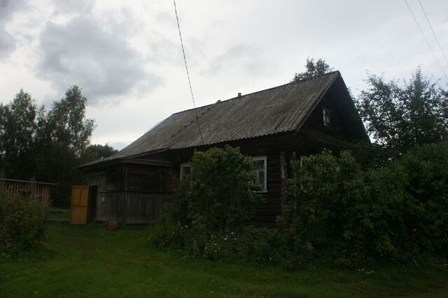 дом деревня Дворищи фото
