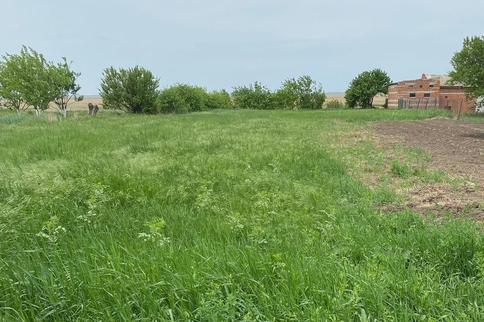 земля р-н Щербиновский станица Старощербиновская фото 1