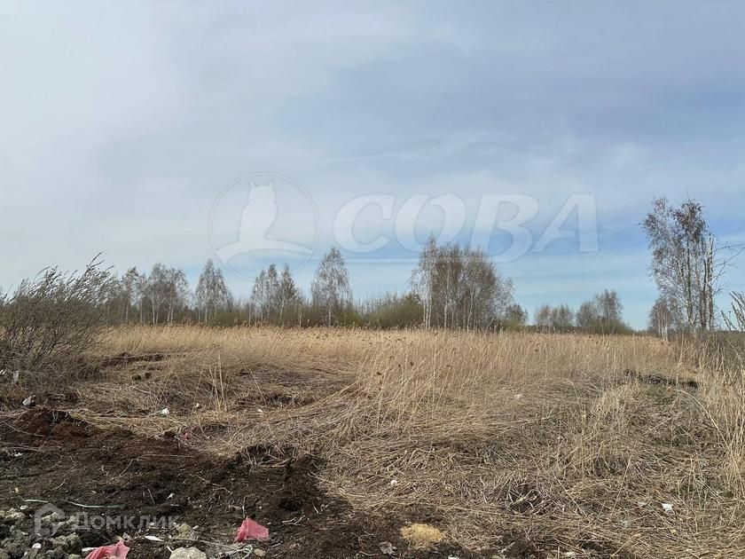 земля г Тюмень снт Ясень городской округ Тюмень, Вторая улица, 126 фото 1