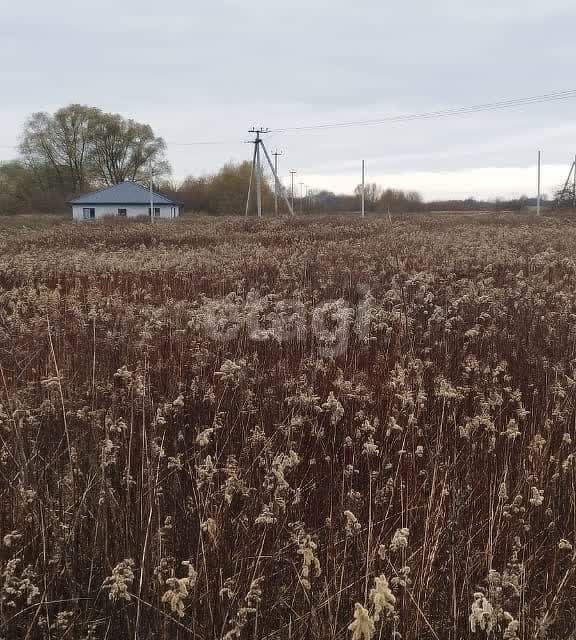 земля р-н Гурьевский п Голубево железнодорожная станция Голубево фото 1