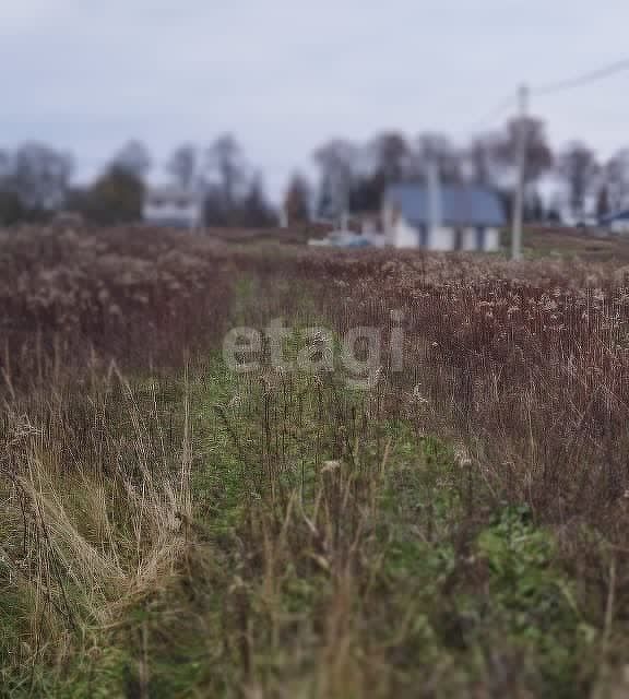 земля р-н Гурьевский п Голубево железнодорожная станция Голубево фото 1