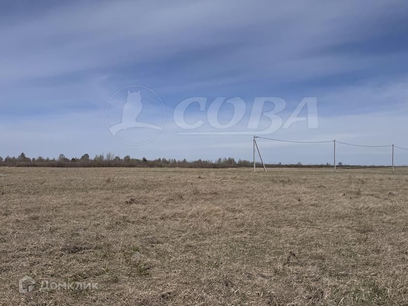 земля г Тюмень пл Центральная городской округ Тюмень фото 2