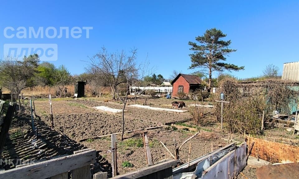 земля г Благовещенск СТ Электроаппаратного завода фото 3