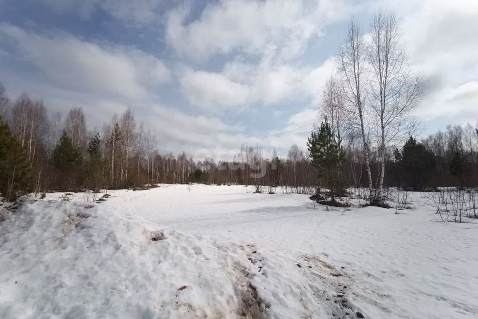 земля р-н Зеленодольский село Ильинское фото 2