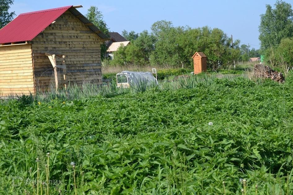 земля р-н Нижнетавдинский ТСН Строитель, 10-я Садовая улица, 427 фото 2