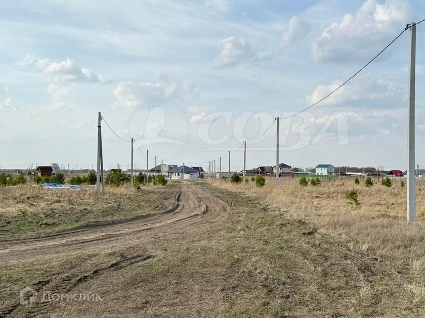 земля р-н Тюменский с Борки ул Айгинская фото 2