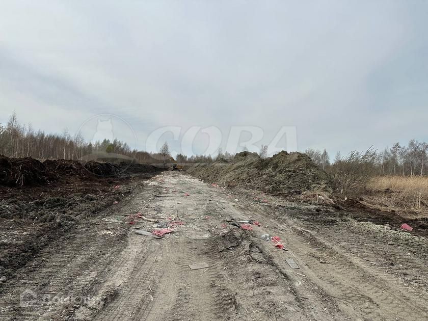 земля г Тюмень снт Ясень городской округ Тюмень, Вторая улица, 126 фото 3