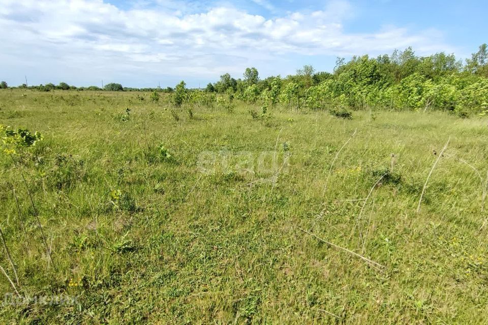 земля р-н Тахтамукайский посёлок Прикубанский фото 3