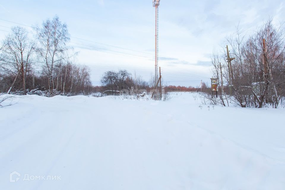 земля р-н Тобольский д Соколовка ул Тобольская фото 2