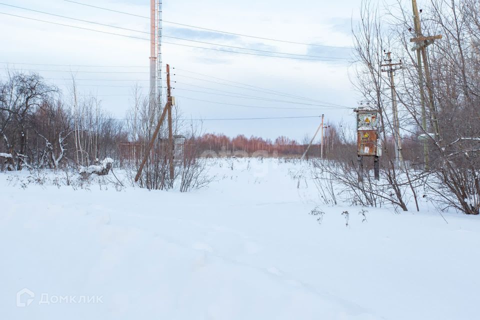 земля р-н Тобольский д Соколовка ул Тобольская фото 3