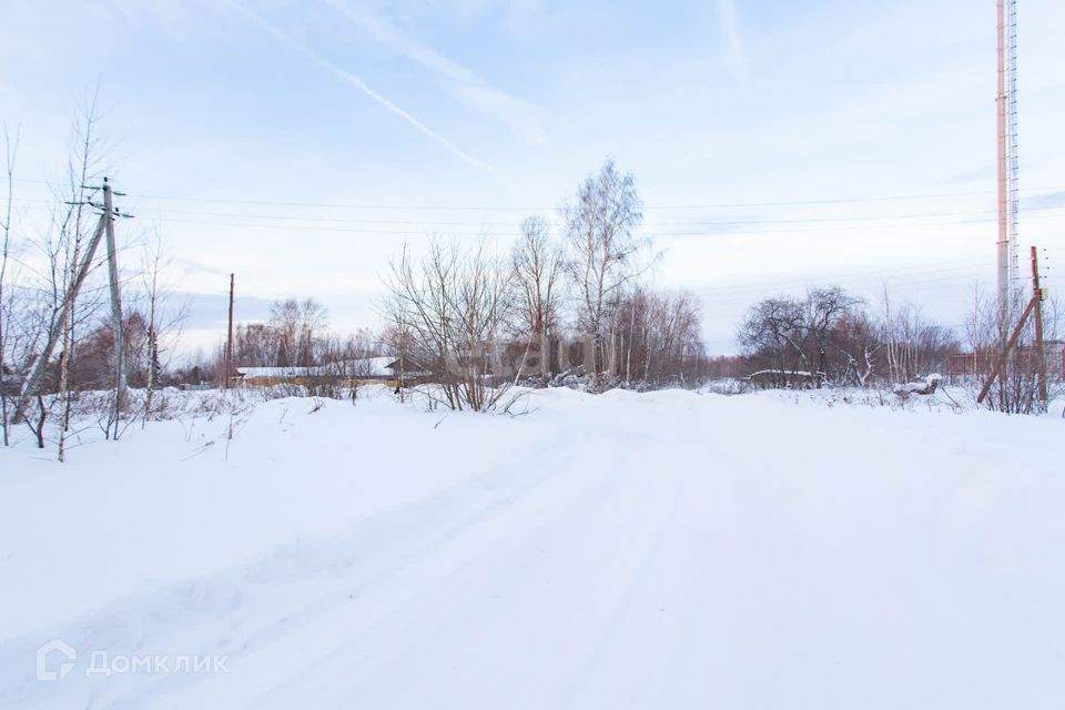 земля р-н Тобольский д Соколовка ул Тобольская фото 4