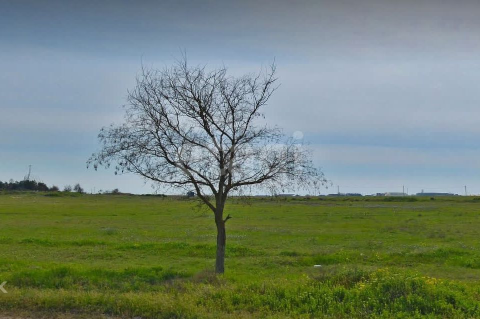 земля р-н Сакский село Уютное фото 3