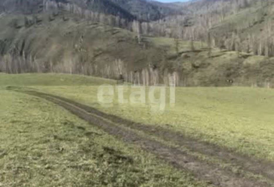 земля р-н Чемальский село Элекмонар фото 4