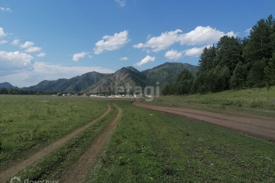 земля р-н Чемальский село Узнезя фото 4