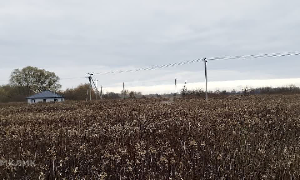 земля р-н Гурьевский п Голубево железнодорожная станция Голубево фото 2