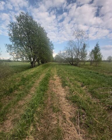земля ул Сельская Савинское сельское поселение, Великий Новгород фото