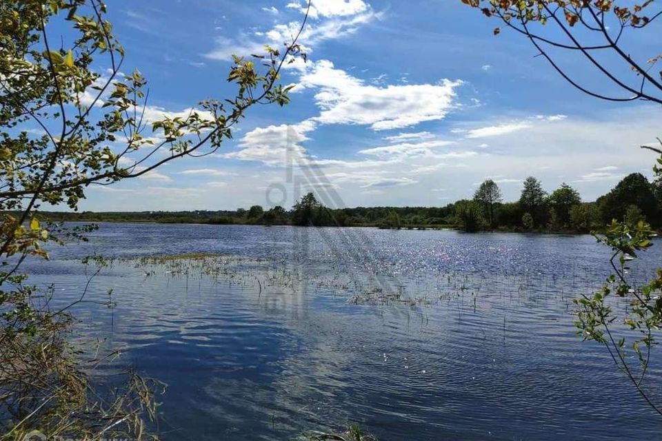 дом р-н Рамонский с Нелжа ул Свободы 1г фото 1