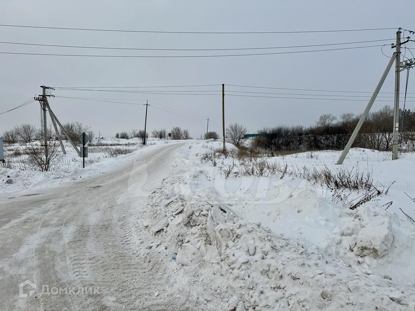 земля р-н Тюменский с Луговое ул Зоологическая фото 1