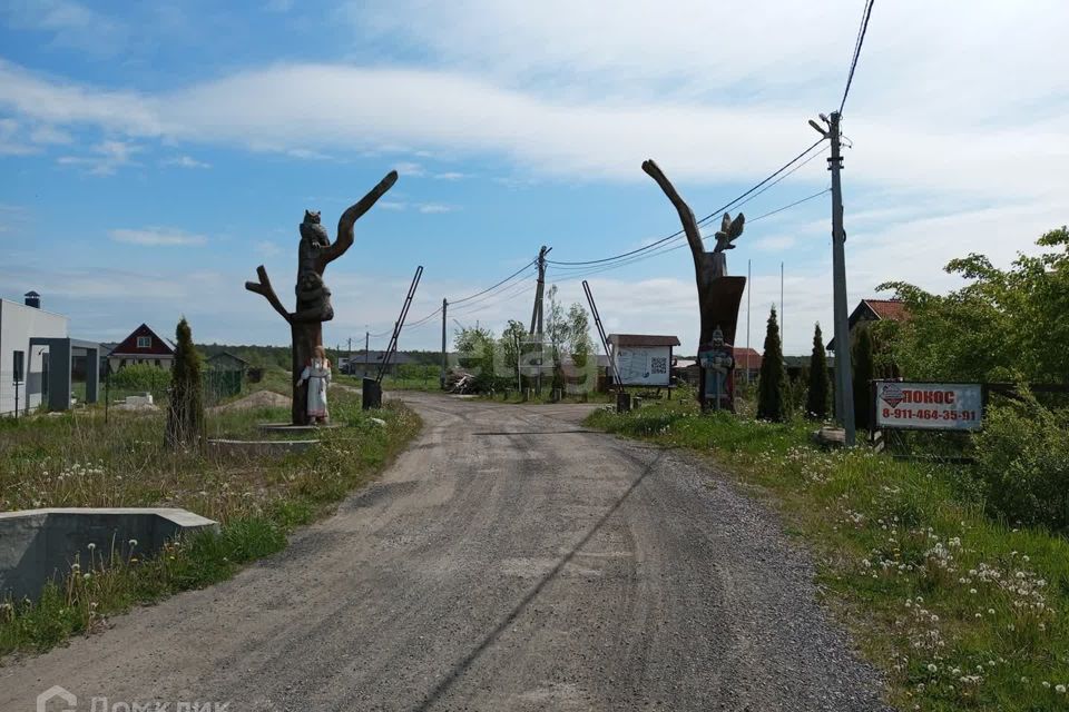 земля р-н Светлогорский посёлок Приморье фото 1