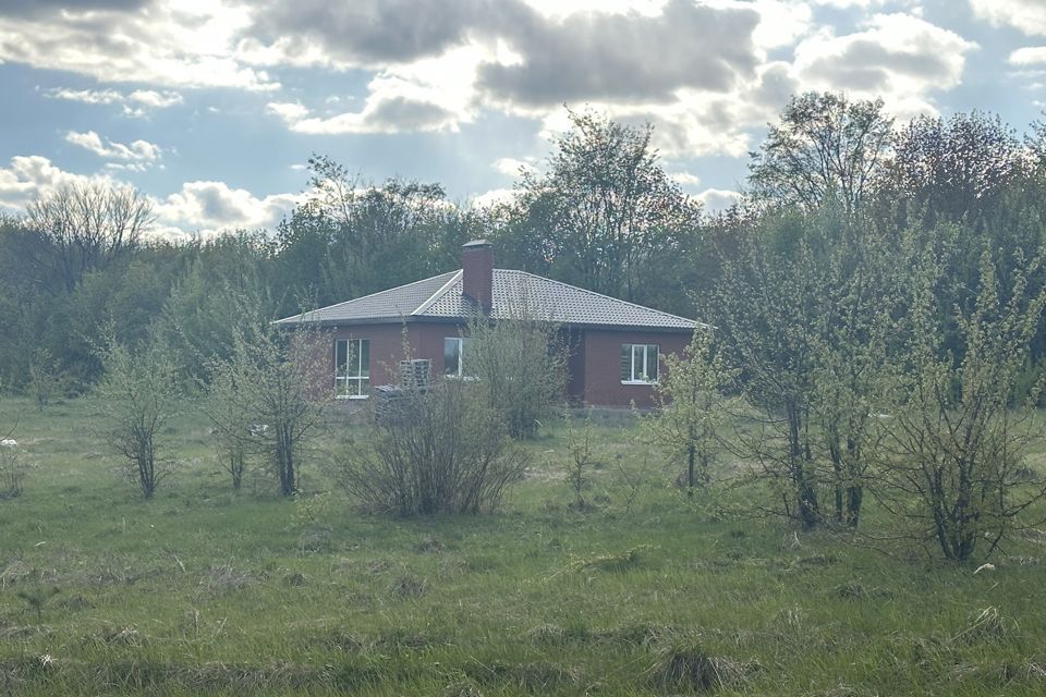 дом р-н Верхнеуслонский с Верхний Услон ул Зеленая фото 1