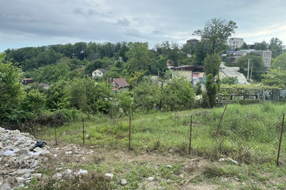 земля г Сочи с Бестужевское городской округ Сочи, садоводческое товарищество Луч фото 3