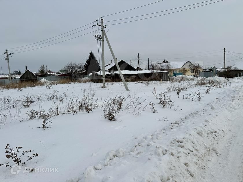 земля р-н Тюменский с Луговое ул Зоологическая фото 3