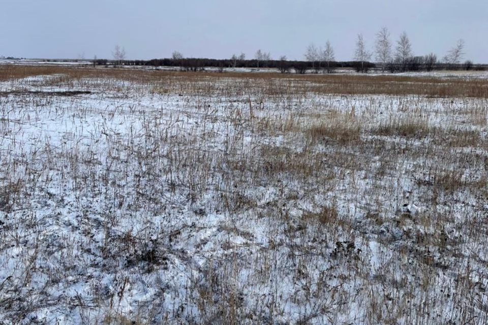 земля городской округ Якутск, Республика Саха Якутия, село Хатассы фото 2