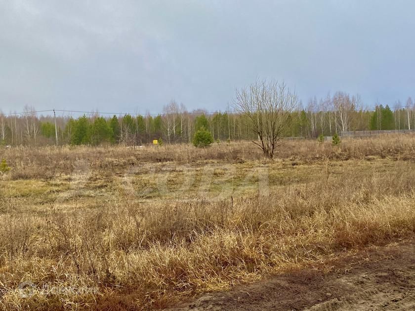 земля р-н Нижнетавдинский с Нижняя Тавда ул Светлая фото 1