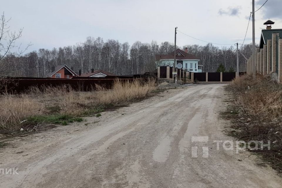 земля р-н Сосновский с Кайгородово ул Школьная фото 3