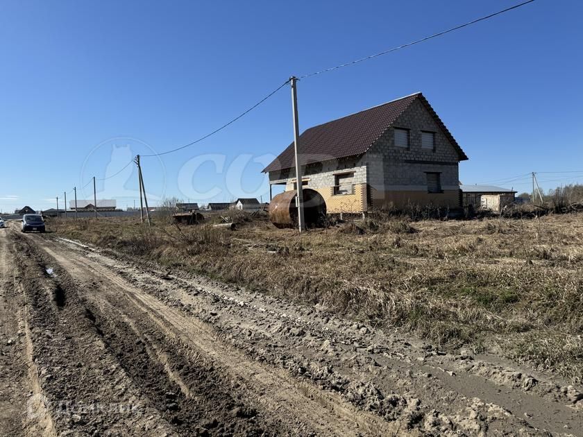 земля р-н Нижнетавдинский село Нижняя Тавда фото 3