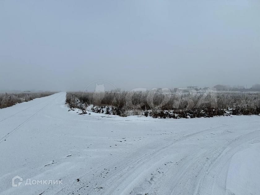 земля р-н Тюменский деревня Елань фото 2