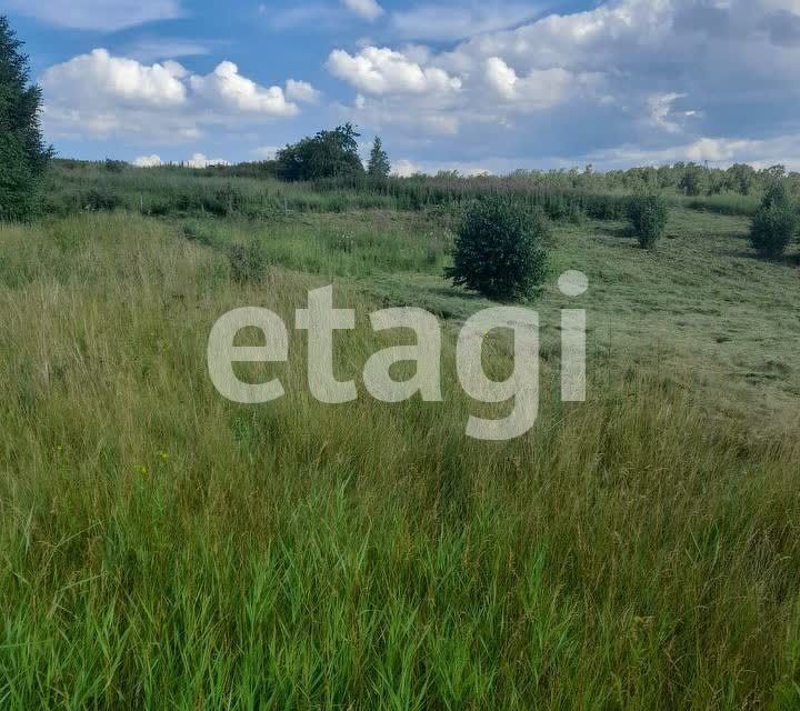 земля р-н Емельяновский садоводческое товарищество Ветеран-Высотный фото 4