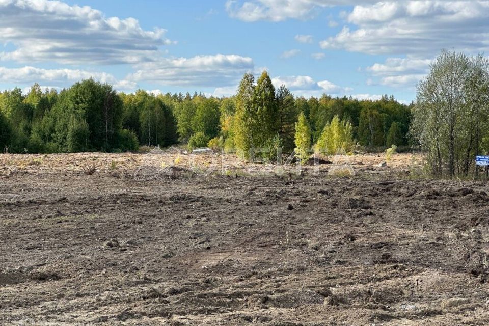 земля р-н Нижнетавдинский село Тюнево фото 2